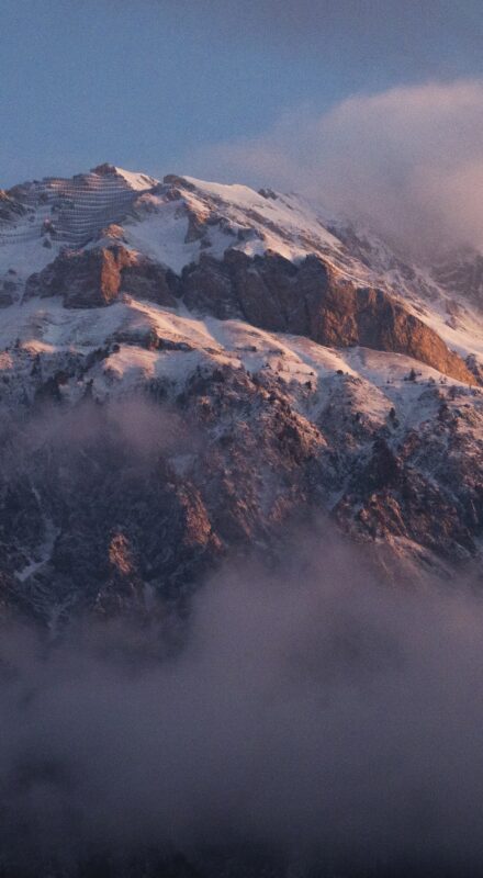 Réveil rose - 16 avril 2021